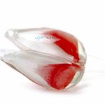 Tulp van glas wit rood