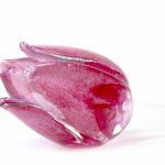 Tulp van glas roze goed