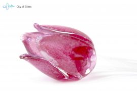Tulp van glas roze goed