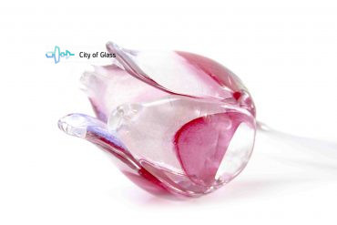 Tulp van glas wit roze
