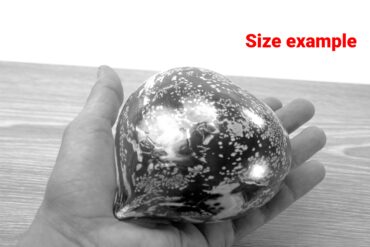 Mini urn heart Size example