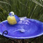 Plate with bird blue