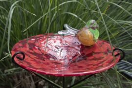 Plate with bird Red