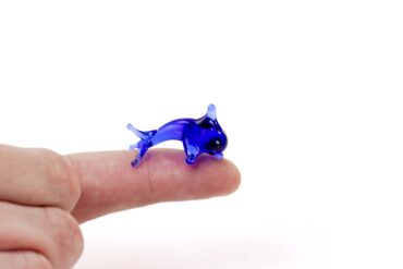 Miniature Dolphin Standing