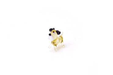 Miniature Dog Schnauzer