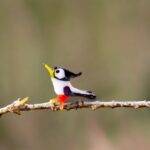 Miniature Glass Woodpecker