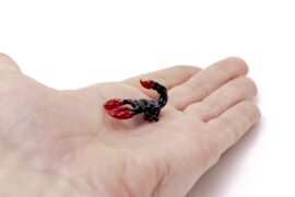 Miniature glass scorpion