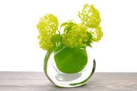 Luxe vaas | Platte Vaas | Kleur | Groen
