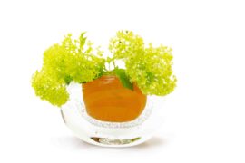 Luxe vaas | Platte Vaas | Kleur | Oranje