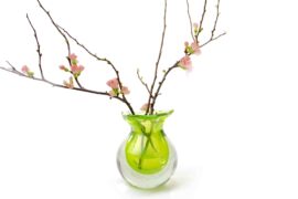 Luxe vaas | Bloemen vaas | Kleur | Groen