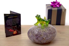 Frog on Stone Glass Gift Brown