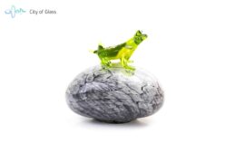 Frog on Stone