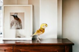 Glazen Vogel Koolmees | Glazen Dieren | Beeldjes