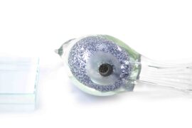 Mini Urn Vogel Wit met grijs/blauwe Decoratie