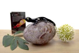 Salamander on Stone Glass Gift Brown