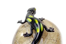 Salamander on Stone Glass Gift Light Brown