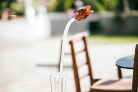 Tulp Oranje Multicolor | Glazen Tulpen | Glazen bloemen
