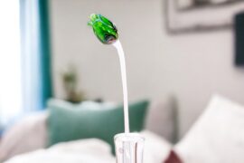 Tulp Groen Multicolor | Tulpen van Glas | Glazen Tulpen