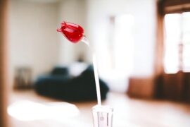 Tulp rood | Glazen Tulpen | Glazen Bloemen