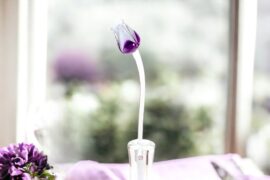 Tulp Wit Paars | Glazen Tulpen | Tulpen van Glas