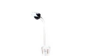 Tulip Black White | Glass Tulips | Flowers of Glass