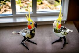 Glass cockatiel