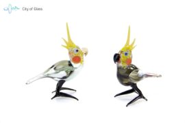 Glass cockatiel