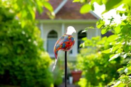 Tuinsteker Vogel | Hangende staart | Rood Blauw Geel
