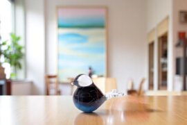 Kleine Urn Linea Black | Vogel urn | Handgemaakt Europees glas